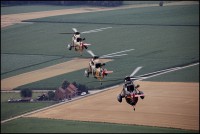 /album/baf-seaking-mk481/img-2473-kopie-lowres-jpg/